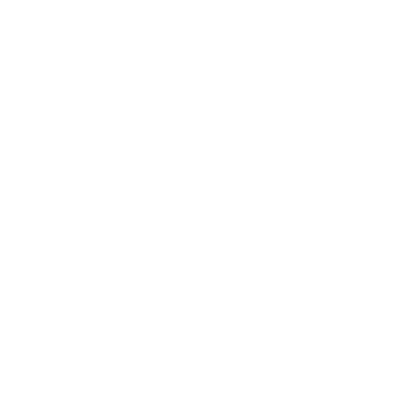 eSocialMint